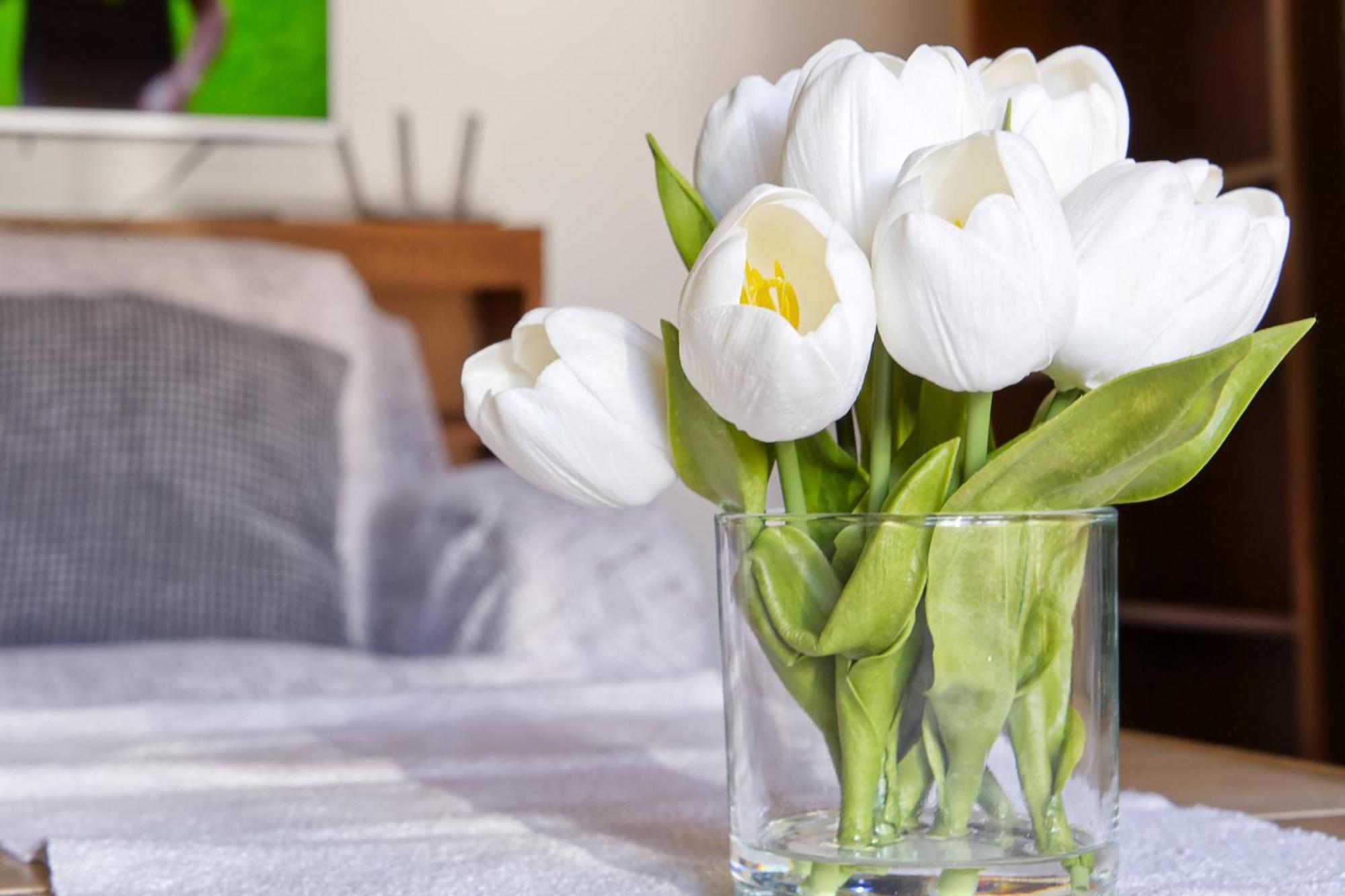 Castle Way Apartments Tamy Bled Luaran gambar